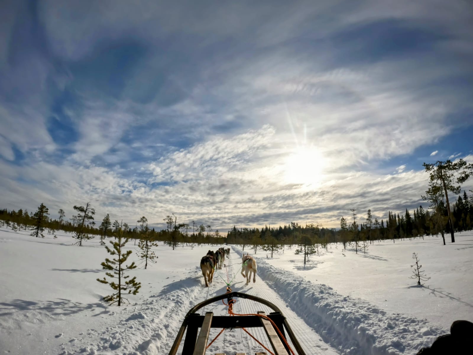 Visit Lapland: Everything You Need To Know