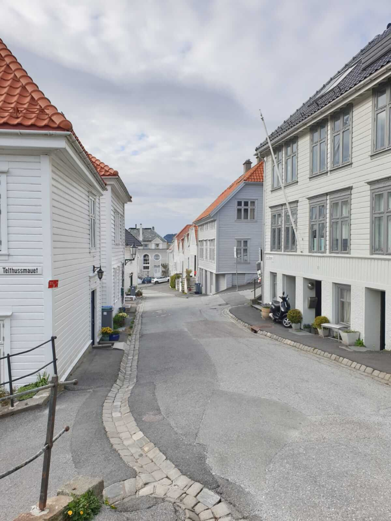  I recommend visiting Sandviken, a district northeast of the city centre. It is full of narrow, charming streets, wooden houses, and terraced views overlooking the harbour and fjords. The climb up the streets takes a little effort, but it is worth it for the views and to see a quieter, less popular with tourists side of Bergen.