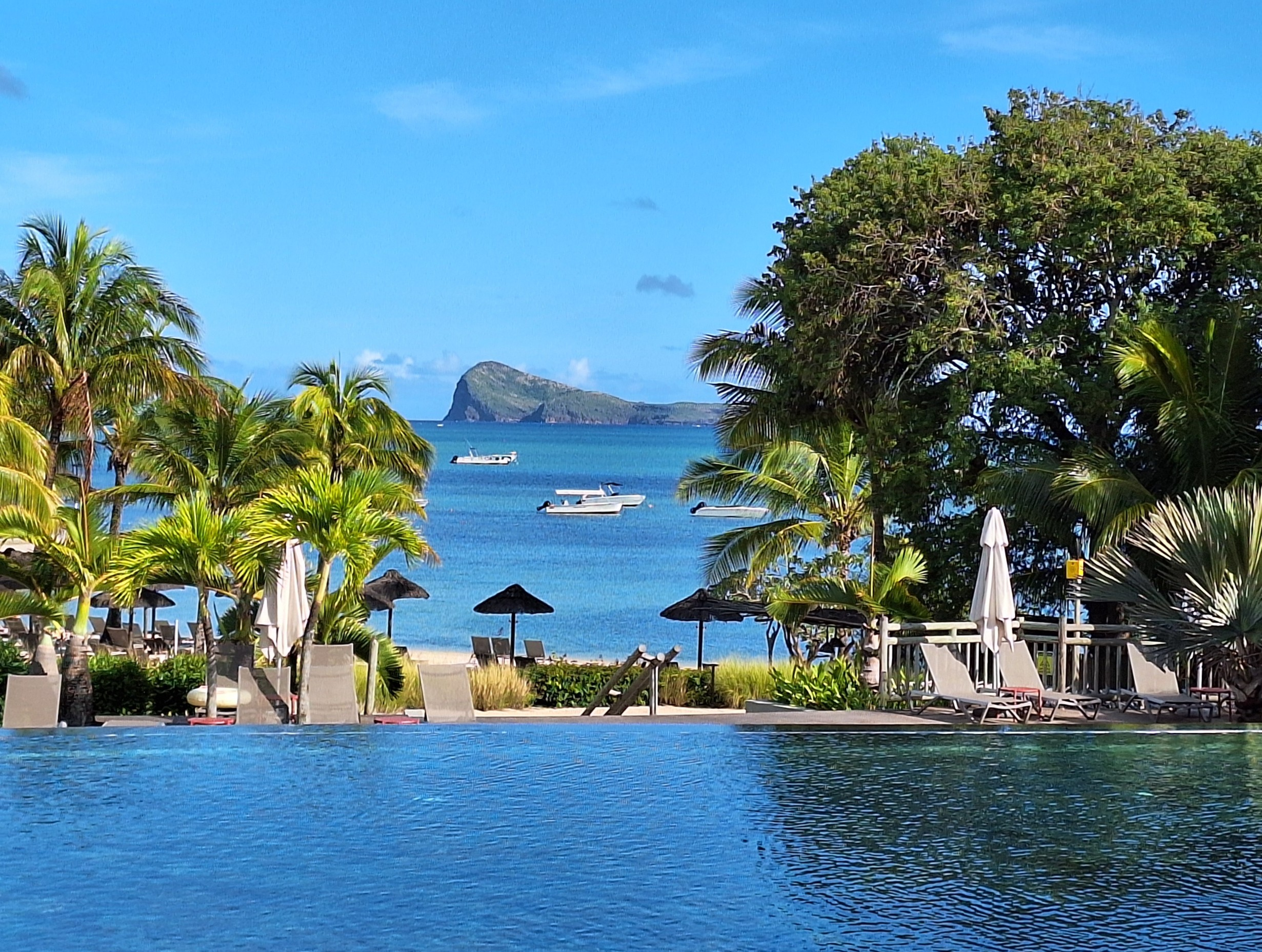 Zilwa Attitude Review: What Makes It Amazing and What Holds It Back (2025)