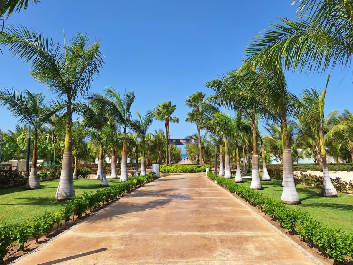 Pros and Cons of Package Holidays vs. Independent Travel