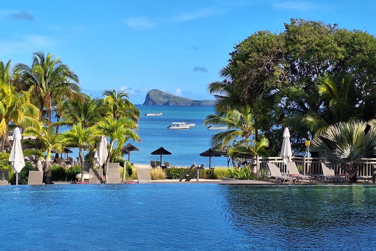 Zilwa Attitude Review: What Makes It Amazing and What Holds It Back (2025)